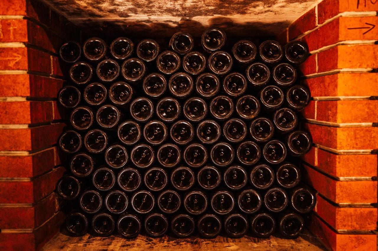 Wine Paradise Glavinic Miklavz pri Ormozu 外观 照片